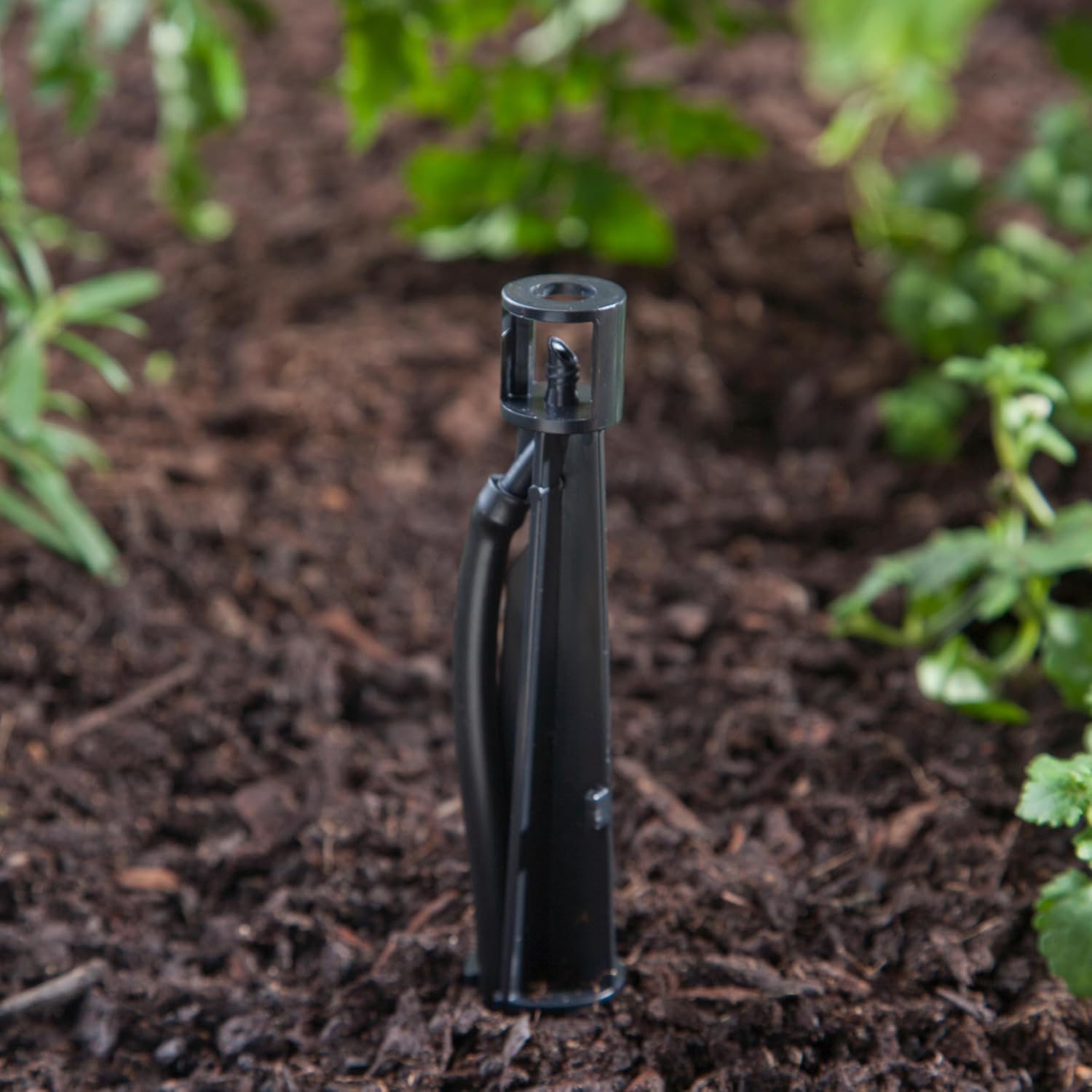 Raindrip 382005B 8-Inch Sprinkler Stake with 4-Inch Riser for Drip Irrigation and Drip Systems, Plastic, 5-Pack, Black