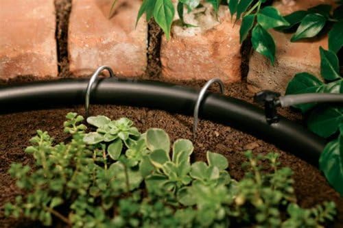 Orbit 10 Pack (100 Total Pieces) Drip Irrigation Tubing Stakes - 1/4 Inch Tube - 10 Pack