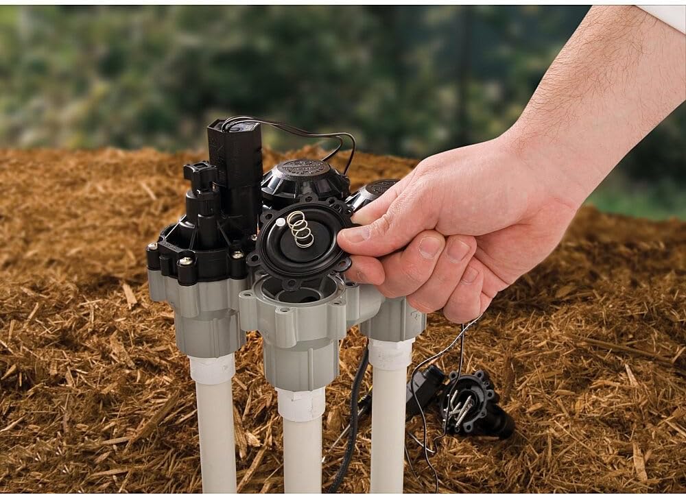 Rain Bird DASASVF075 Professional Grade Anti-Siphon Valve with Flow Control, 3/4" Threaded Female x Female