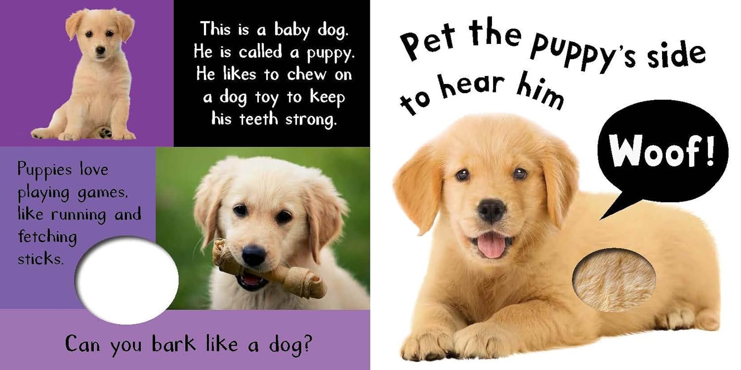 Noisy Baby Animals: Includes 6 Sounds and an On/Off Switch on the Back Cover! (My First)