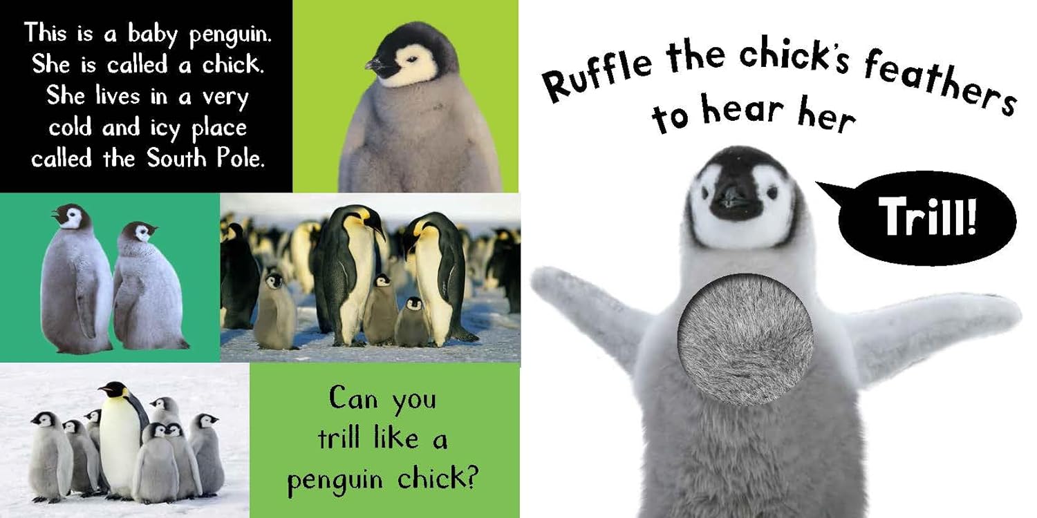 Alternative view of Noisy Baby Animals: Includes 6 Sounds and an On/Off Switch on the Back Cover! (My First)