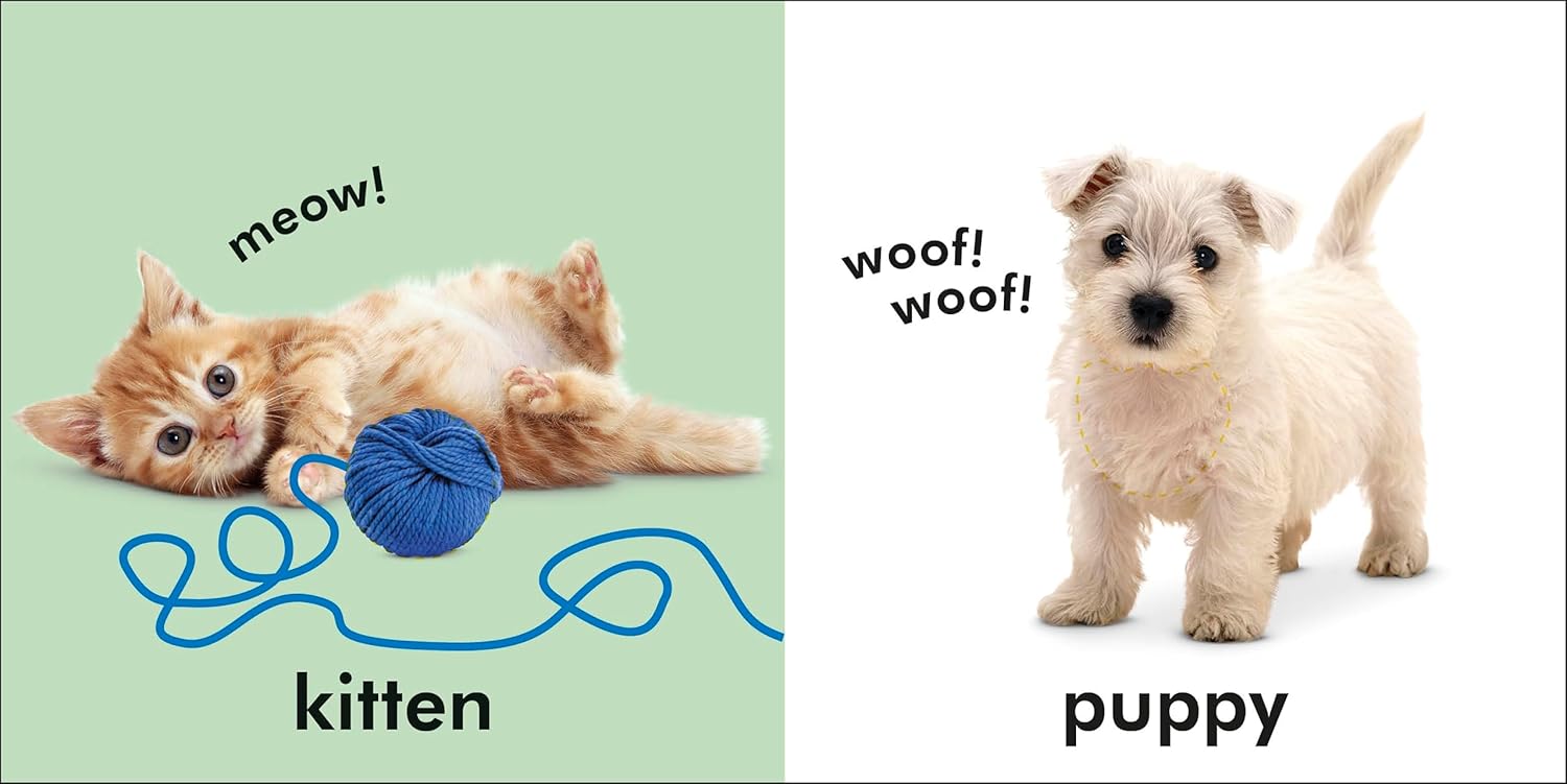 Alternative view of Baby Touch and Feel: Animals