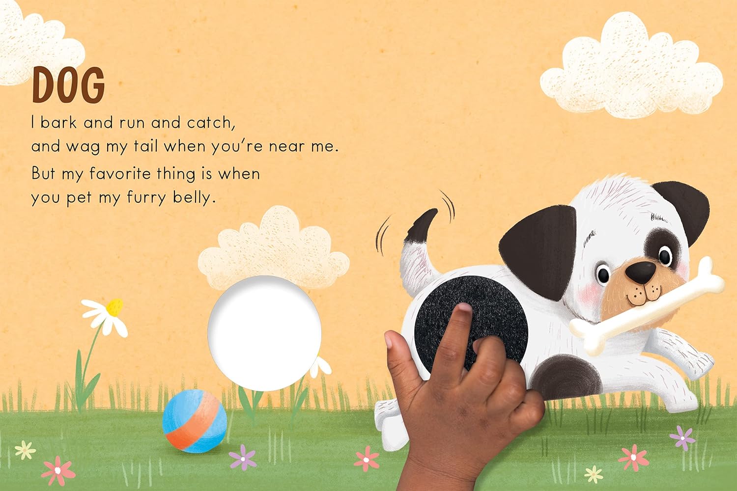 Alternative view of Adorable Pets: A Touch and Feel Book - Children's Board Book - Educational (Touch & Feel Sensory Board Books for Baby & Toddler Time)