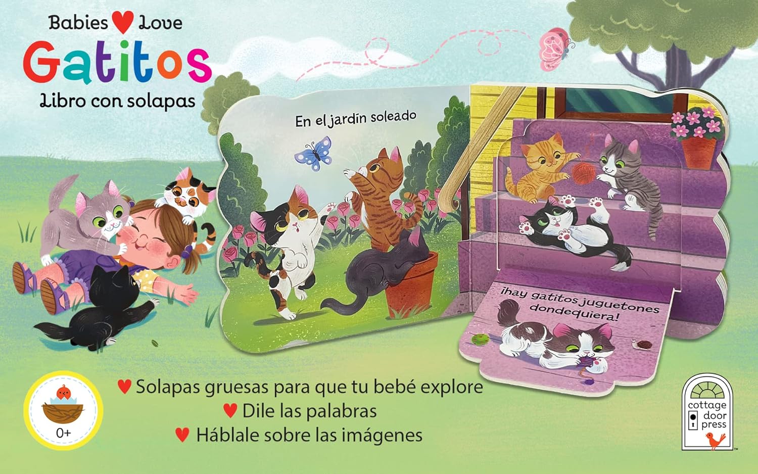 Babies Love Gatitos / Kittens Spanish Language: A Lift-a-Flap Board Book for Babies and Toddlers (en español) (Spanish Edition)