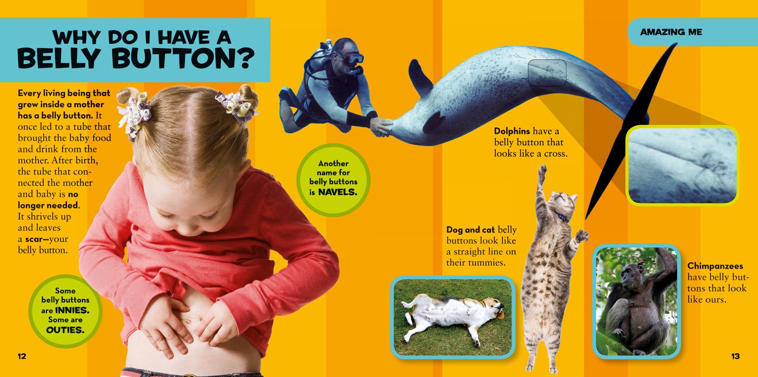 National Geographic Little Kids First Big Book of Why: Questions and Answers About the World for Curious Kids