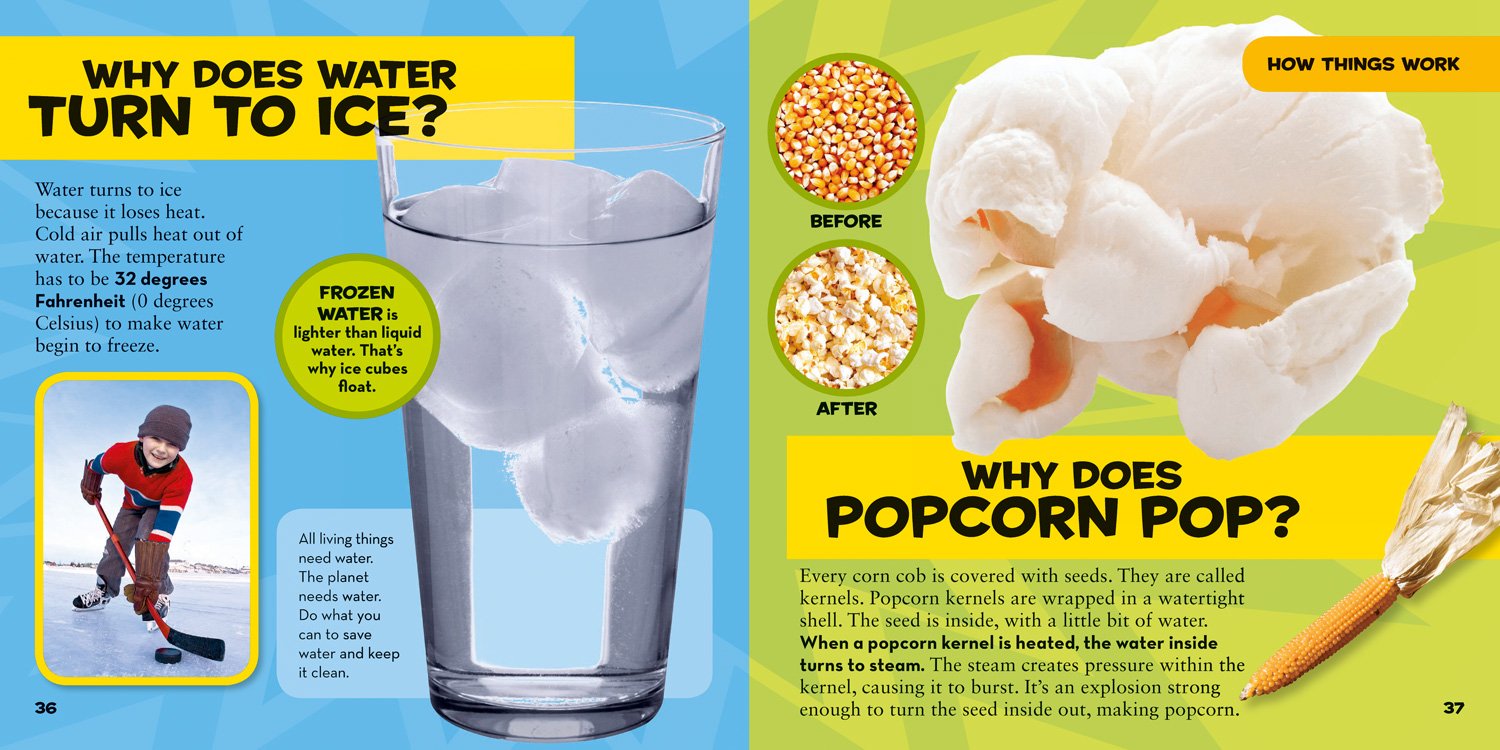 Alternative view of National Geographic Little Kids First Big Book of Why: Questions and Answers About the World for Curious Kids