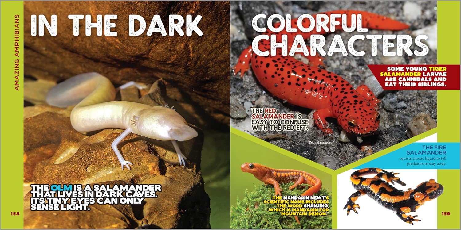 Alternative view of The Fascinating Animal Book for Kids: 500 Wild Facts! (Fascinating Facts)