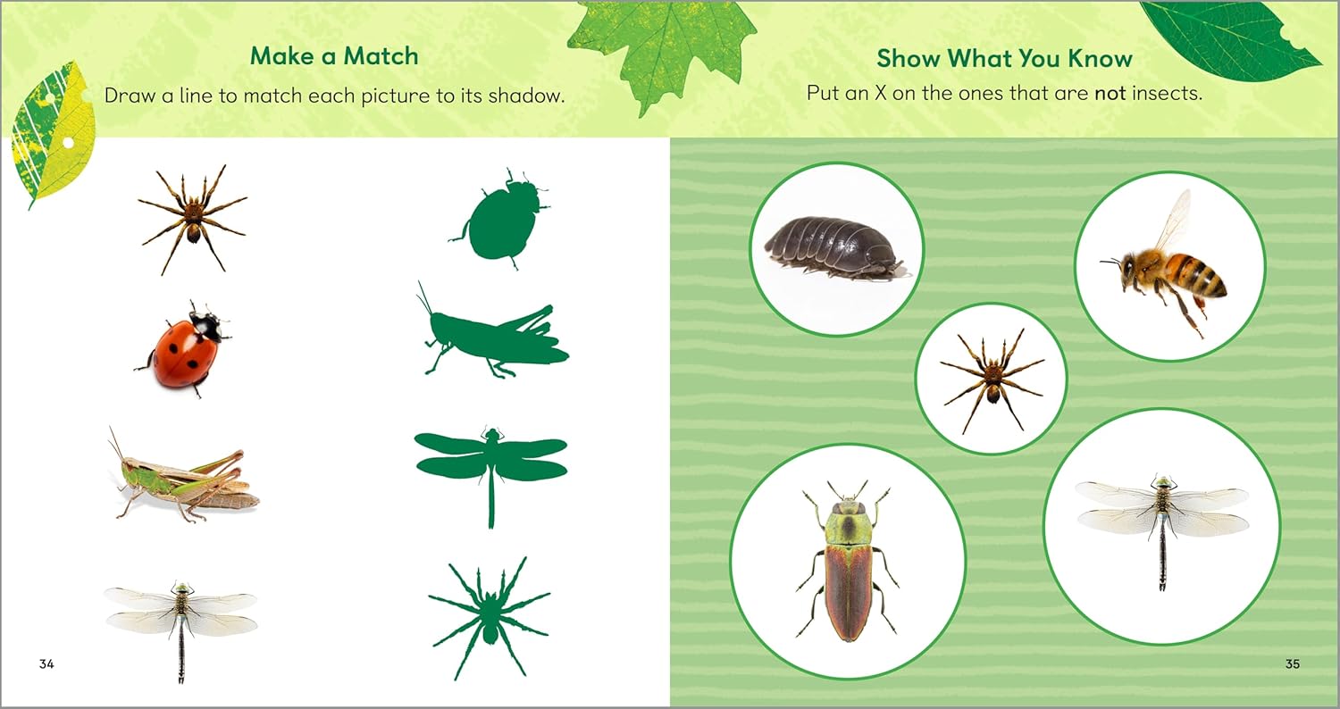 Alternative view of The Backyard Bug Book for Kids: Storybook, Insect Facts, and Activities (Let's Learn About Bugs and Animals)