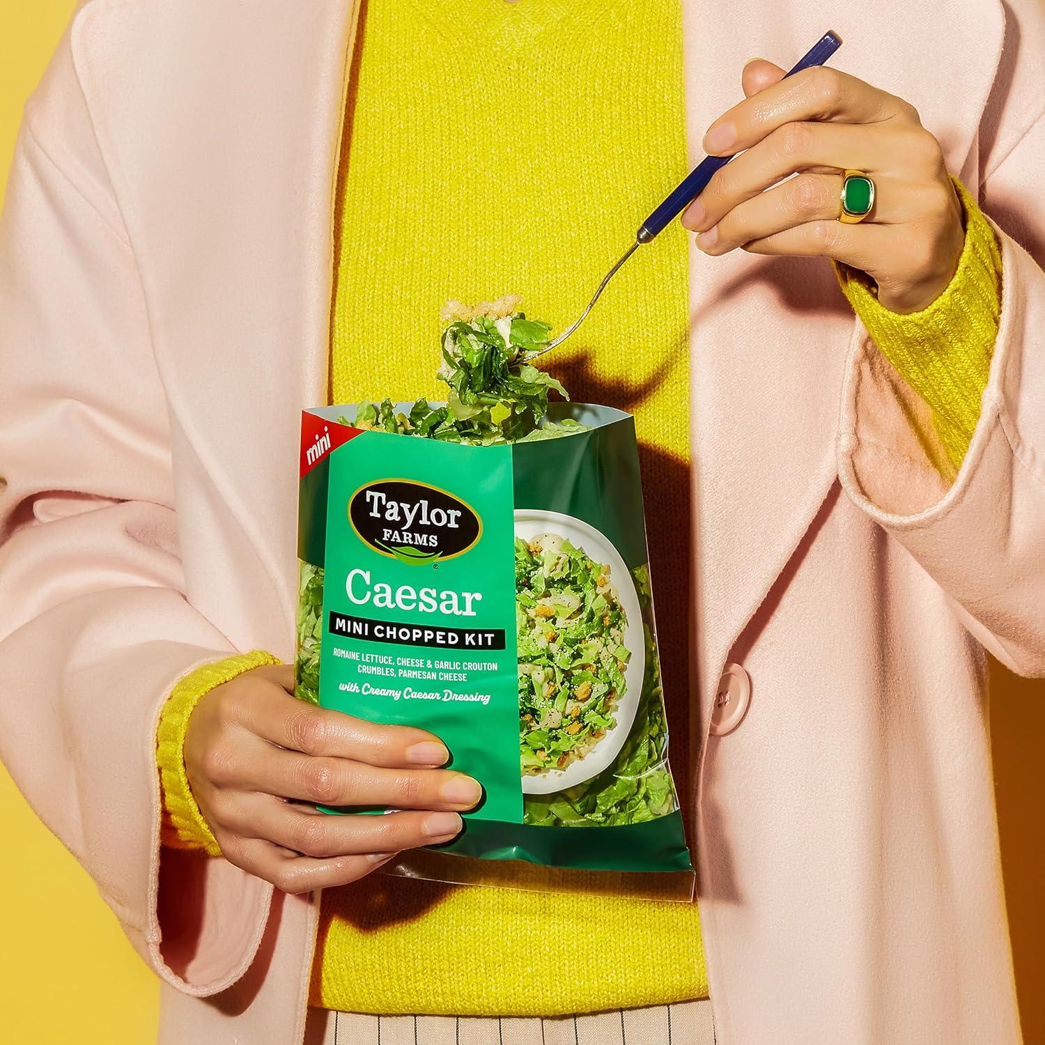 Taylor Farms Caesar Mini Chopped Salad Kit 4.42oz