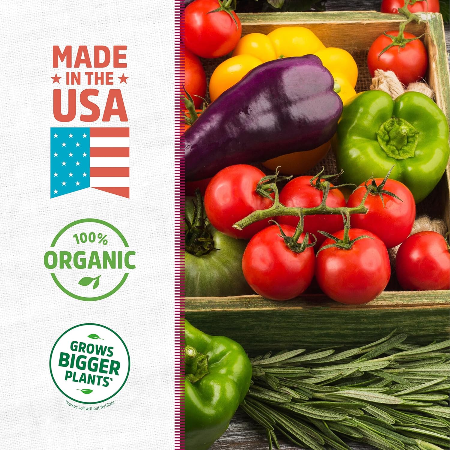 Back to The Roots 100% Organic Blood Meal | Made in The USA | Premium Nutrition for Indoor and Outdoor Plant Gardening