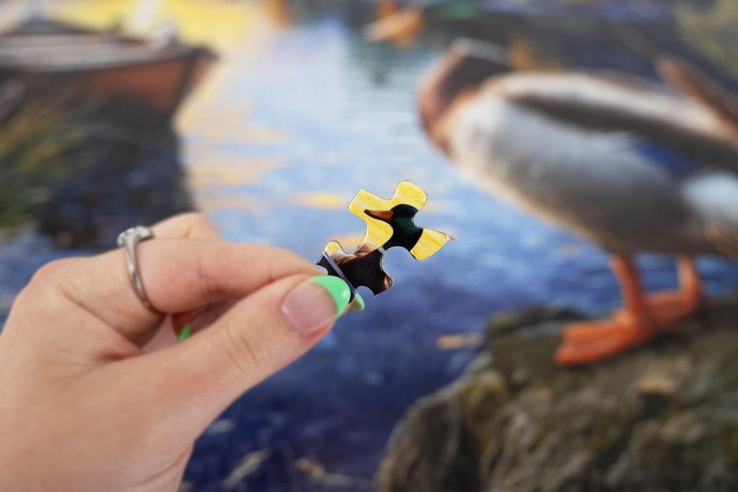 Springbok Mallard Morning Glow 1000 Piece Jigsaw Puzzle for Adults - Duck by The Lake - Unique Cut Pieces - Made in USA - Image 5