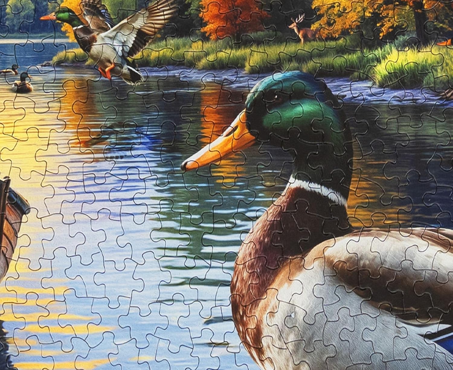 Springbok Mallard Morning Glow 1000 Piece Jigsaw Puzzle for Adults - Duck by The Lake - Unique Cut Pieces - Made in USA - Image 7