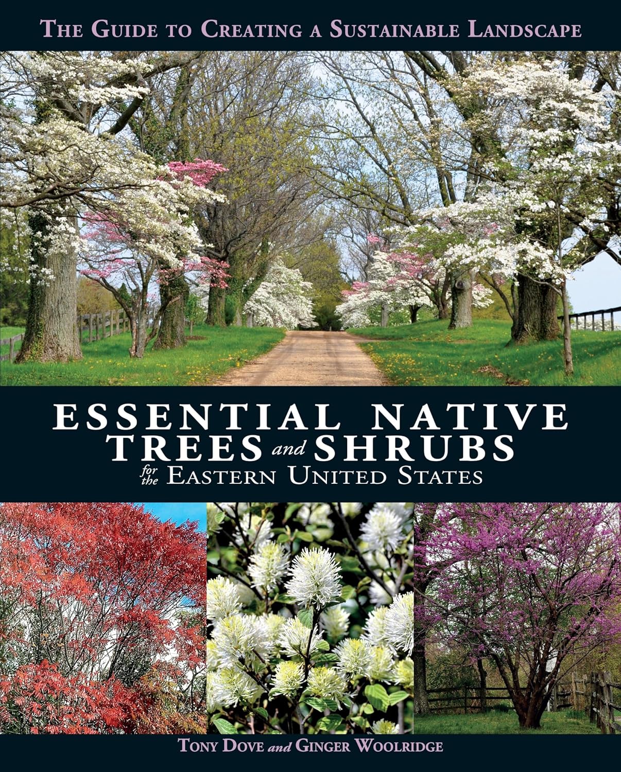 Essential Native Trees and Shrubs for the Eastern United States: The Guide to Creating a Sustainable Landscape