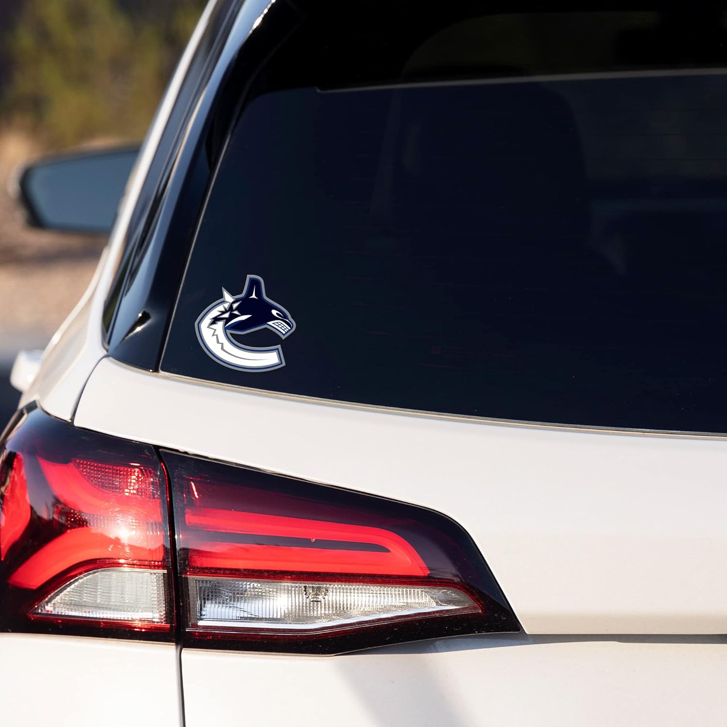 Alternative view of NCAA Short Sport Decal