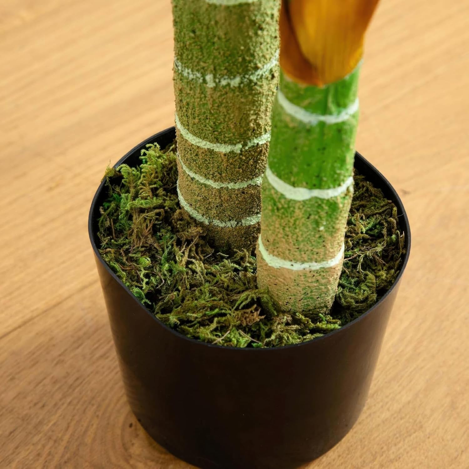 Nearly Natural 4ft Golden Cane Palm, Double Stalk Artificial Tree With Lush Realistic Foliage Maintenance Free Indoor Faux Palm Plant For Living Room, Easy Setup, Perfect Tropical Decoration - Image 7