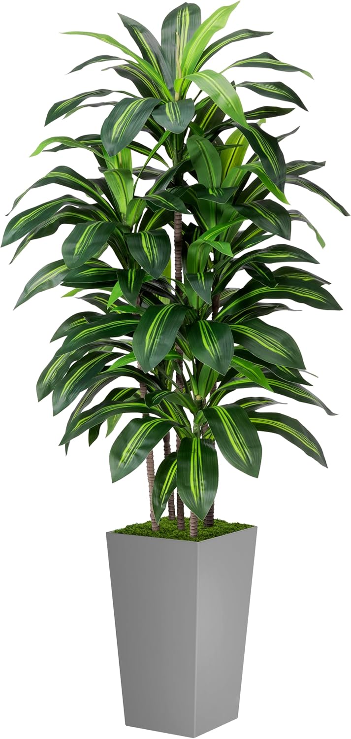 Artificial Dracaena Plant Indoor 5FT - Fake Tree with White Tall Planter - Faux Yucca Tall Fake Floor Plant in Pot - Artificial Trees for Home Office Living Room Decor Indoor - Image 7