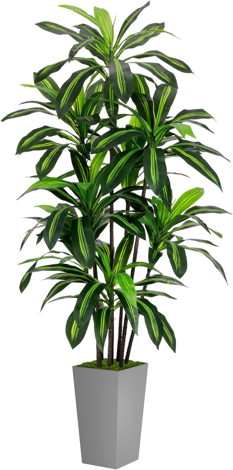 Artificial Dracaena Plant Indoor 5FT - Fake Tree with White Tall Planter - Faux Yucca Tall Fake Floor Plant in Pot - Artificial Trees for Home Office Living Room Decor Indoor - Image 8