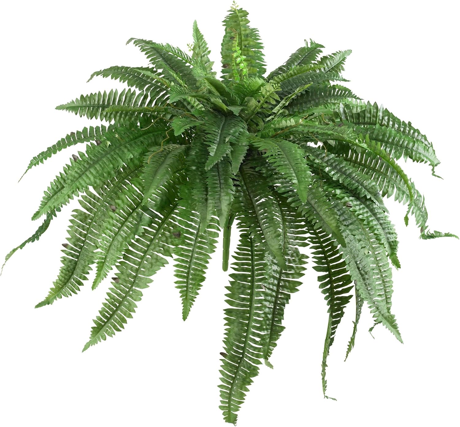 Nearly Natural 48in Artificial Boston Fern, Set of 2 - Large Hanging Fake Plant Wall Decor with 67 Fronds, Faux Fern Vines that Look Real for Home and Office Decor - Image 6
