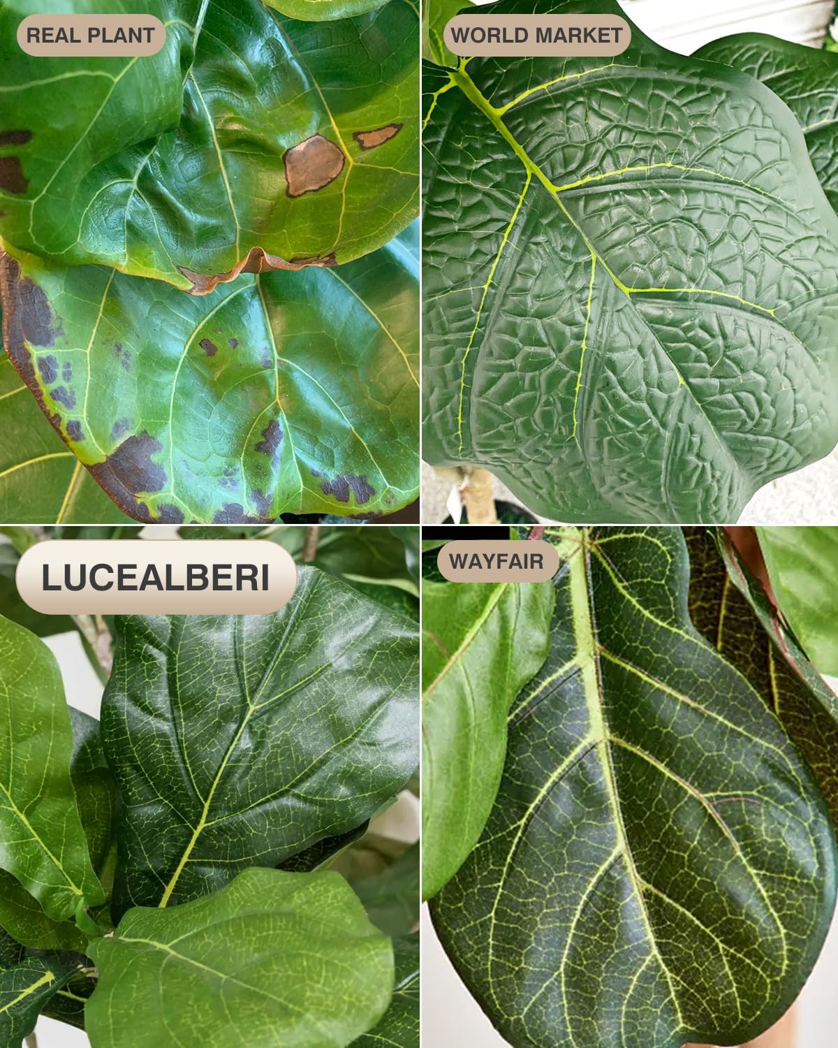 LuceAlberi Artificial Fiddle Leaf Fig Tree 6FT - Large Fake Tree with White Planter&Basket, Tall Faux Ficus Lyrata Tree Floor Plants for Indoor Home Decor Office Living Room Housewarming Gift, 1Pack - Image 5
