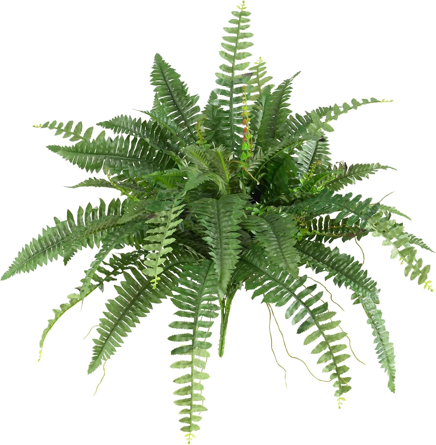 Nearly Natural 40in Hanging Artificial Fern Plant, Set of 2 - Realistic Silk Plant, Faux Greenery For Home Living Room Decor Natural Look Low Maintenance - Image 7