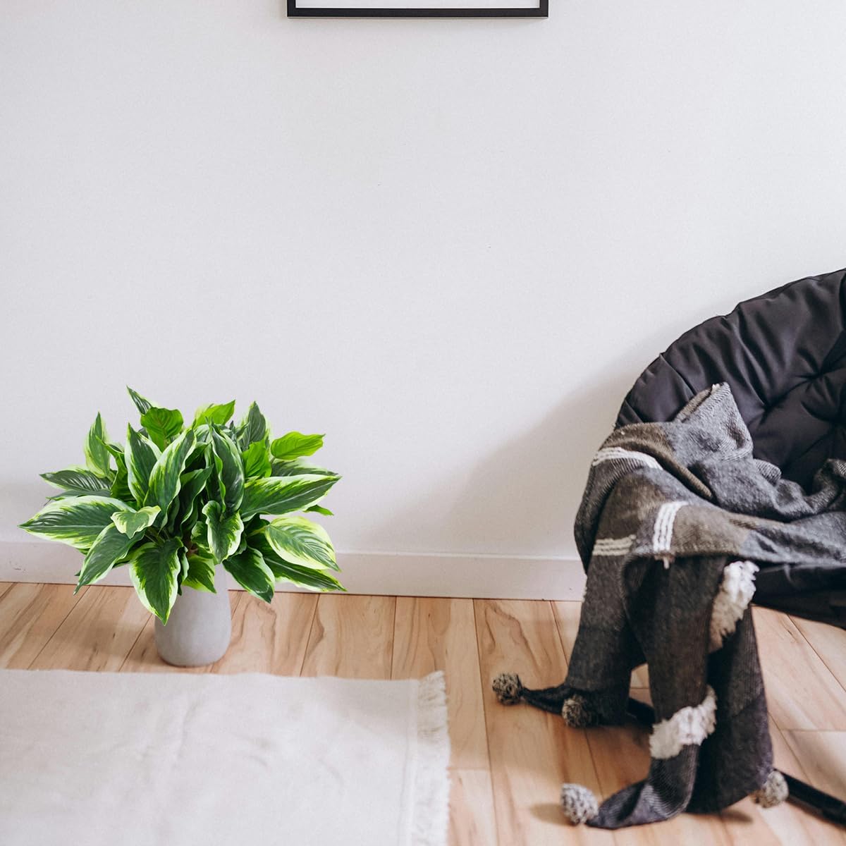 OTATOT 3PCS Artificial Tropical Green Plants u2013 15.75" Fake Hostas Outdoor Artificial Plants, UV Resistant, Faux Green Leaf Stems for Porch, Patio, Balcony, Garden Planter or Indoor Décor