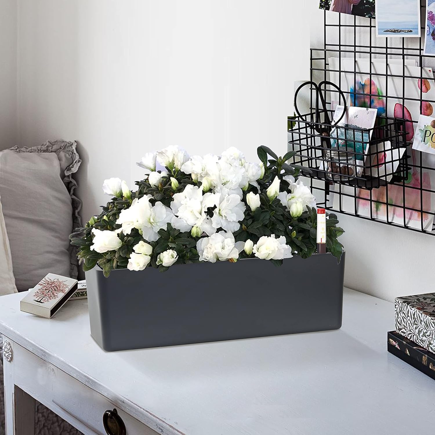 GardenBasix Elongated Self Watering Planter Pots 2-Pack Window Box 5.5 x 16 inch Indoor Home Garden Modern Decorative Pot for All House Plants Flowers Herbs (Dark Grey,2)