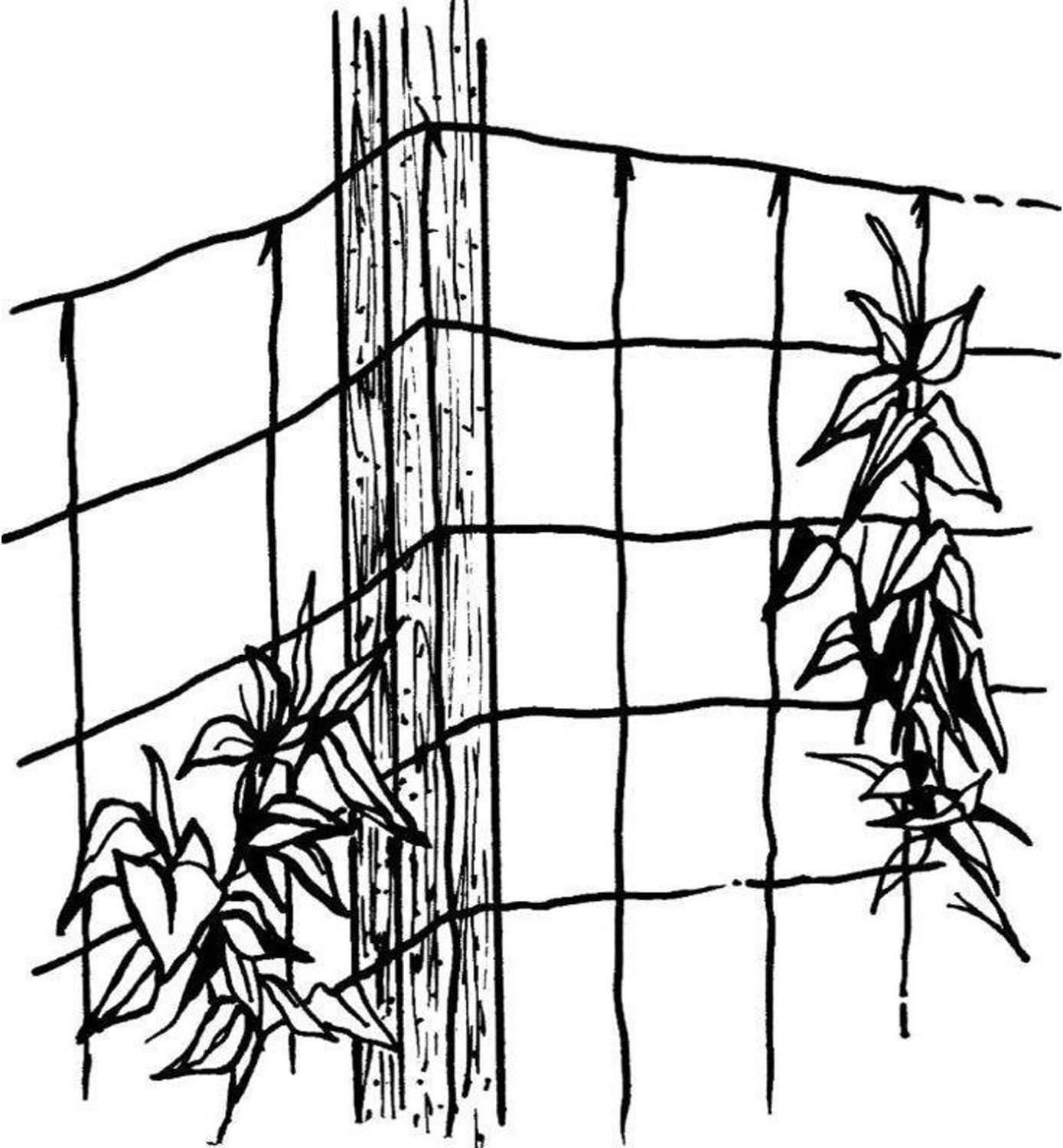 Luster Leaf 869 Vine and Veggie Trellis Net, Green, 5-Feet by 30-Feet