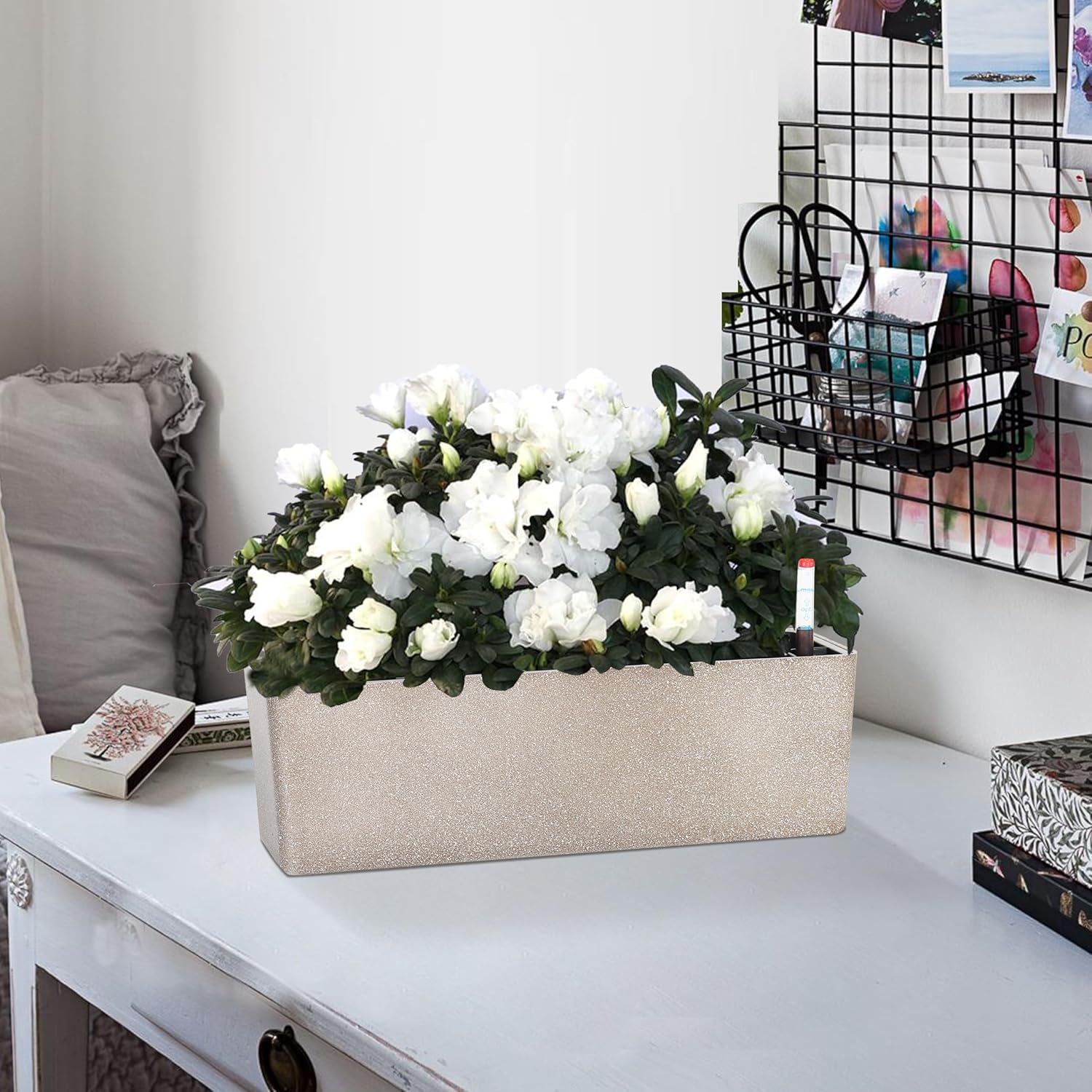 GardenBasix Elongated Self Watering Planter Pots Window Box 5.5 x 16 inch Indoor Home Garden Modern Decorative Planter Pot for All House Plants Flowers Herbs (Coffee,1-Pack)