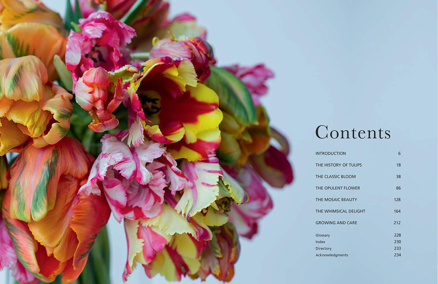 Tulips: Beautiful Varieties for Home and Garden (Flowers)