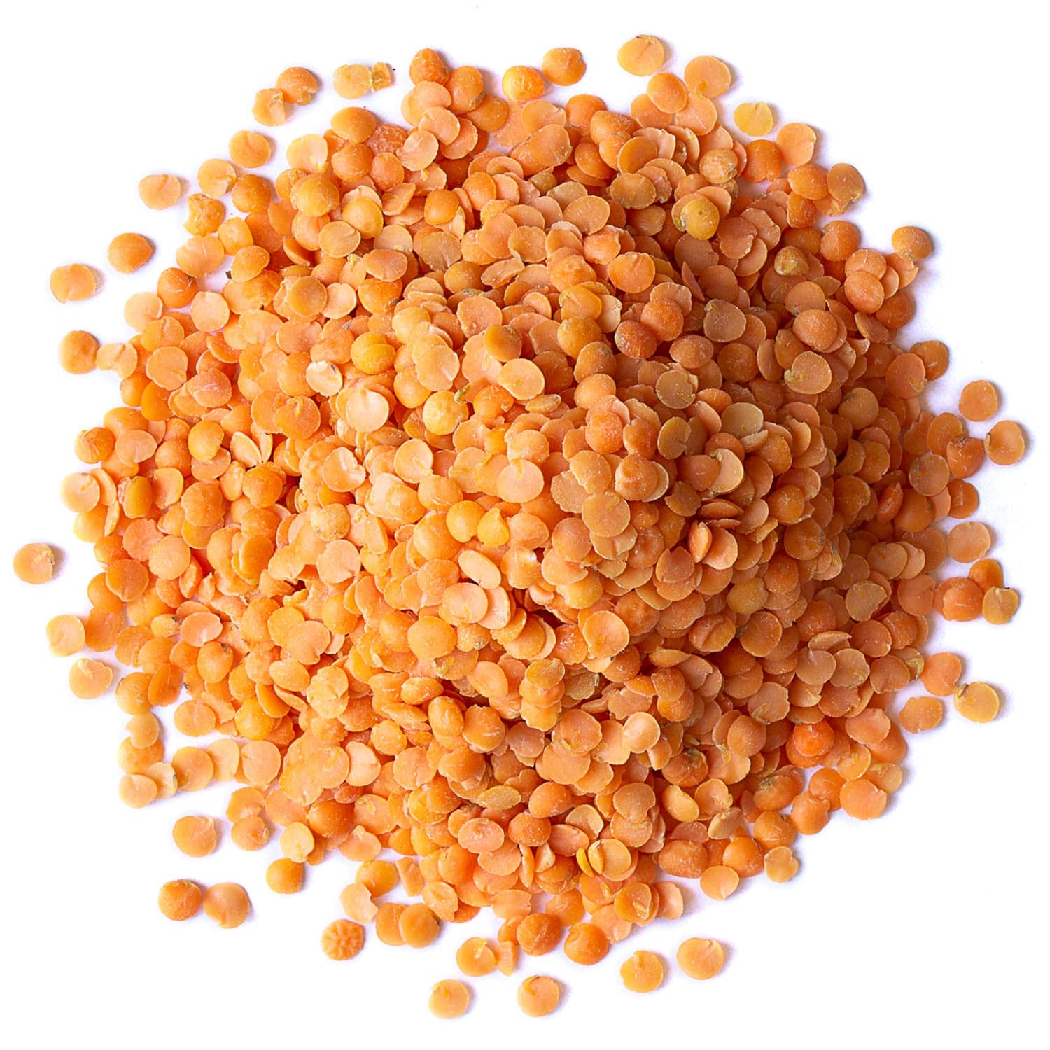 Food to Live Red Split Lentils, 15 Pounds u2013 Masoor Dal, Dried, Vegan, Kosher, Bulk. Easy to Cook. No Soaking Required. Good Source of Dietary Fiber, Vitamin B, Protein. - Image 2